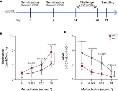 N6-Methyladenosine Methylomic Landscape of Lung Tissues in Murine Acute Allergic Asthma